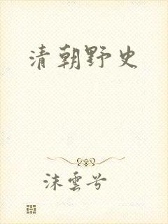 清朝野史封面