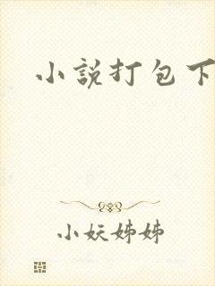小说打包下载