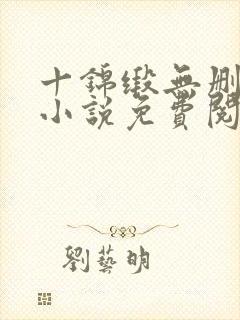 十锦缎无删原著小说免费阅读