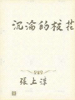 沉沦的校花封面