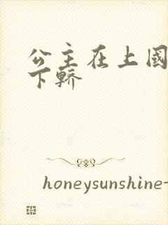 公主在上国师请下轿