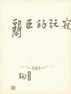 朝臣的玩宠笔趣阁