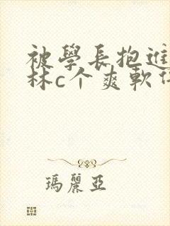 被学长抱进小树林c个爽软件