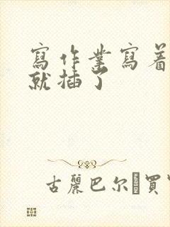 写作业写着写着就插了