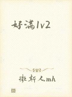 好满1v2