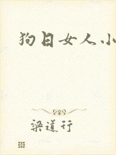 狗日女人小说