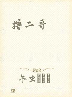 撸二哥