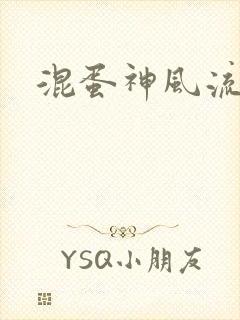 混蛋神风流记