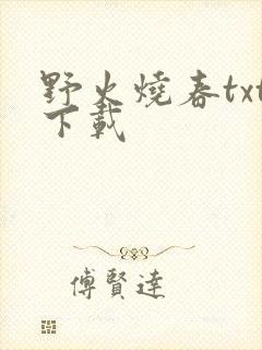 野火烧春txt下载