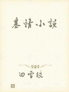 基情小说