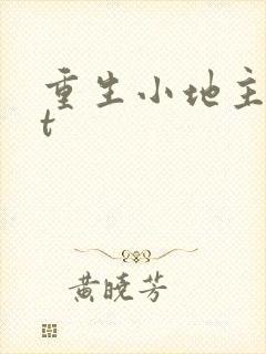 重生小地主txt