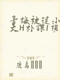 青梅被从小摸到大H补课1视频