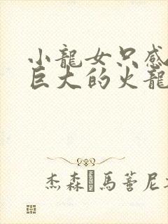 小龙女只感觉那巨大的火龙枪