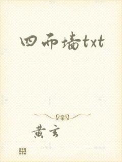 四面墙txt