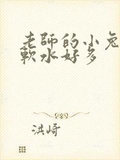 老师的小兔子好软水好多封面