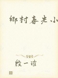 乡村春光小说