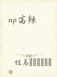 np高辣
