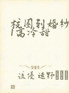 校园到婚纱1V1高冷甜