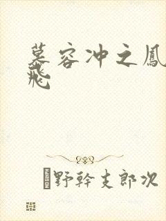 慕容冲之凤凰于飞