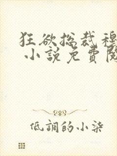 狂欲总裁穆非雪 小说免费阅读