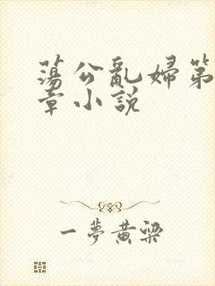 荡公乱妇第51章小说