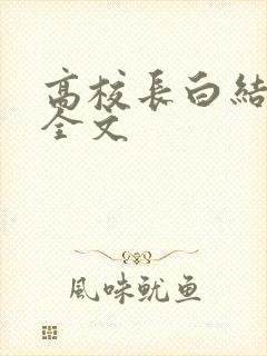 高校长白结小说全文