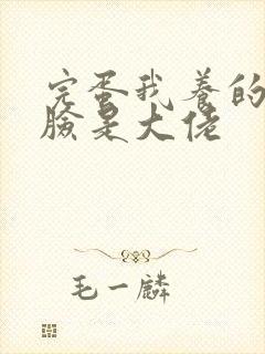 完蛋我养的小白脸是大佬