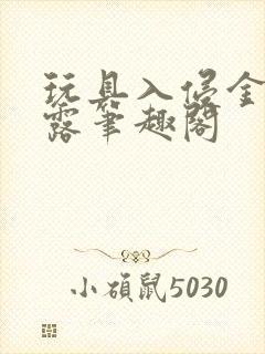 玩具入侵金银花露笔趣阁