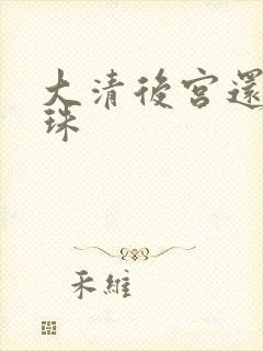 大清后宫还君明珠