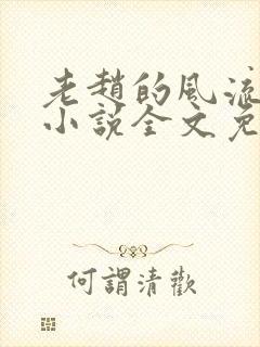 老赵的风流人生小说全文免费阅读