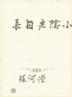 长日光阴小说封面