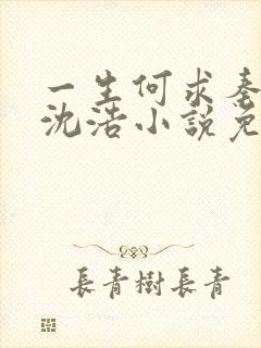 一生何求秦菲雪沈浩小说免费阅读全文