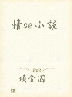 情se小说
