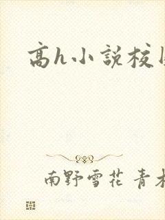 高h小说校园封面