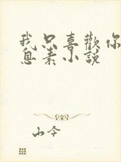 我只喜欢你的信息素小说封面