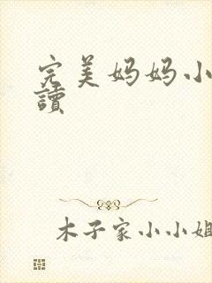 完美妈妈小说阅读封面