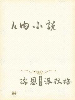 h肉小说