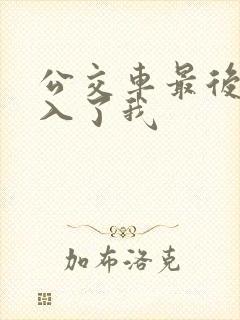 公交车最后一排入了我