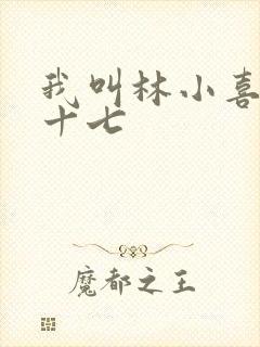 我叫林小喜今年十七