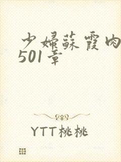 少妇苏霞肉欲第501章