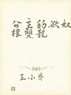 公主的欲奴h四根双龙