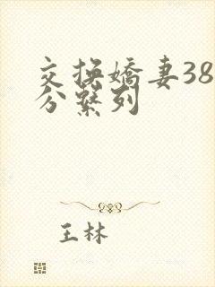 交换娇妻38部分系列