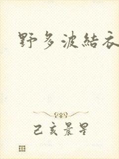 野多波结衣封面