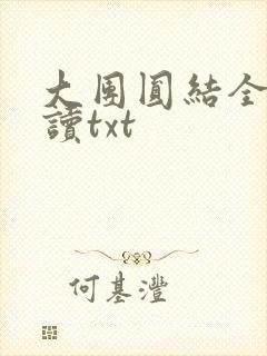 大团圆结全文阅读txt