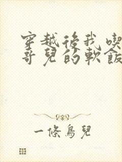 穿越后我吃到了哥儿的软饭炉山灰