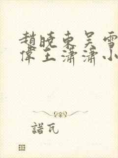 赵晓东吴雪晴郑伟王潇潇小说