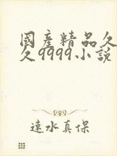 国产精品久久久久9999小说