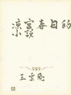 凉宫春日的忧郁小说封面