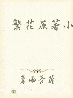 繁花原著小说
