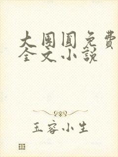 大团圆免费阅读全文小说